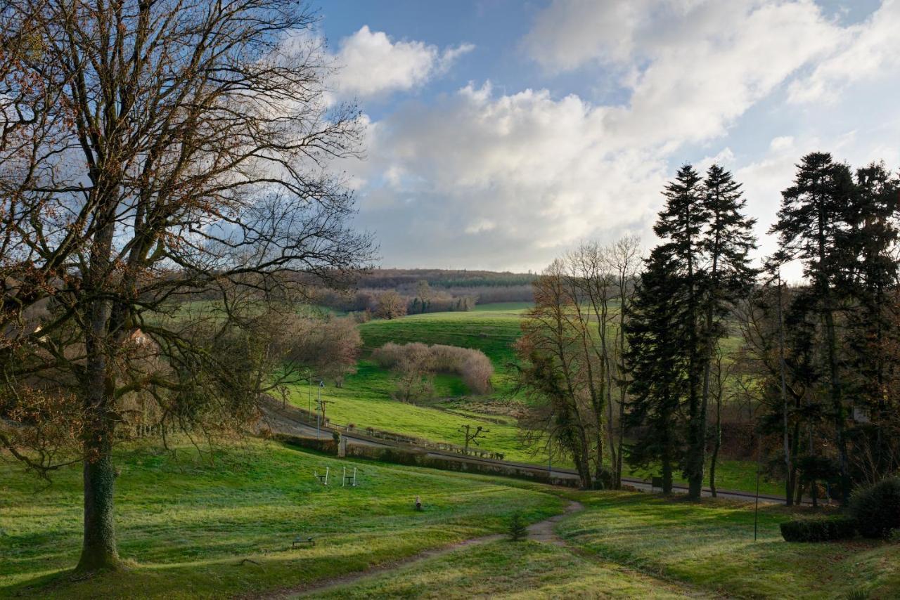 Domaine Des Myosotis, Chambres D'Hotes Saint-Honoré Exteriör bild